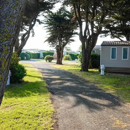 Campsite Zecamping 4 300m Animaux Acceptes *