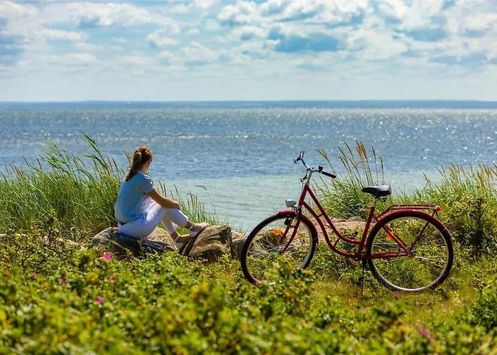 Zecamping 4 300m Animaux Acceptes * Saint-Clement-des-Baleines