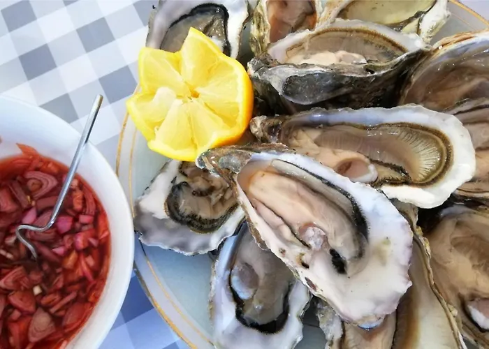 Zecamping 4 300m Animaux Acceptes Campsite *