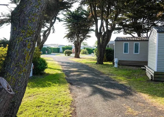 Campsite Zecamping 4 300m Animaux Acceptes *